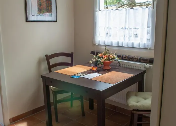 Traumfaenger Friedland (Brandenburg)